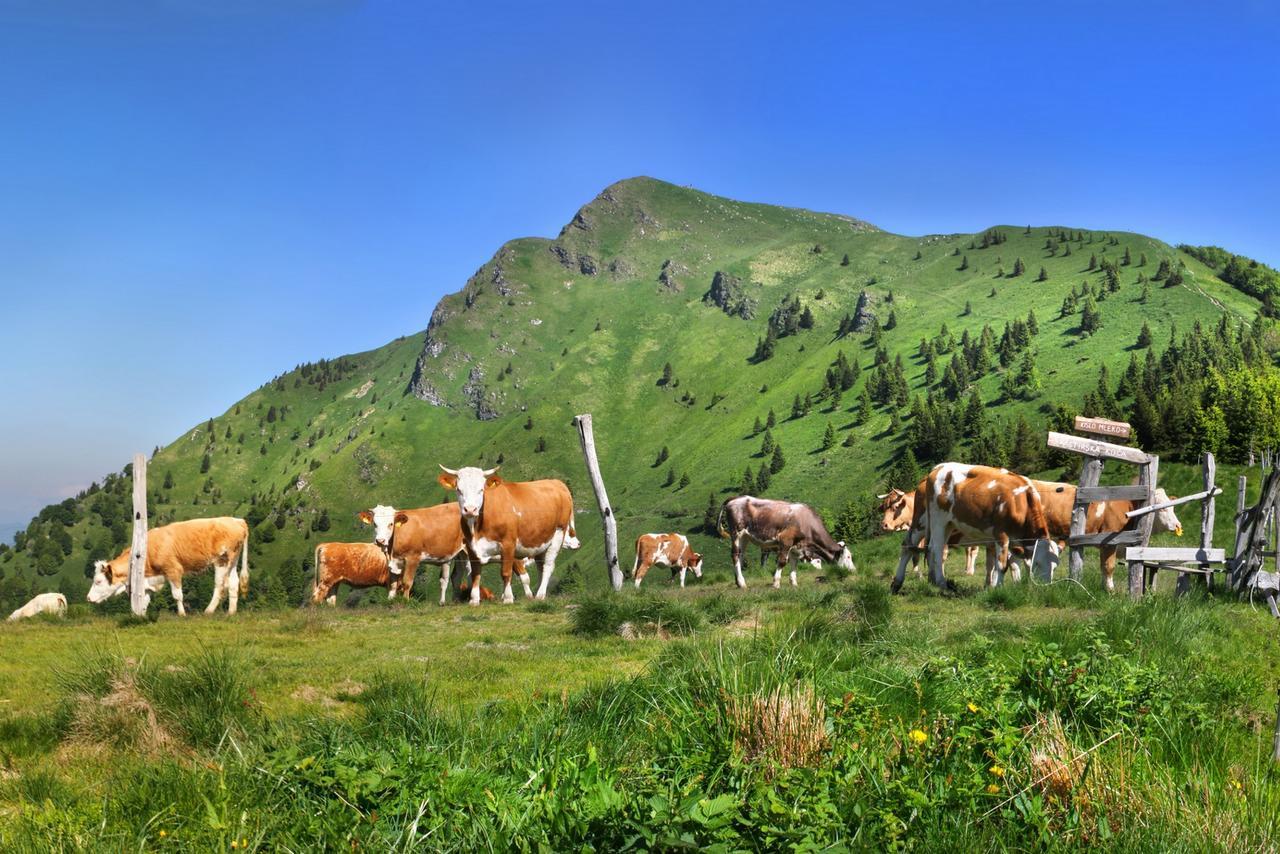 Prenocisca Cerkno Ostello Esterno foto